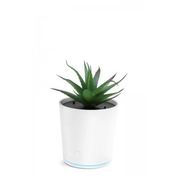 Purificator de Aer, In Forma de Planta Aloe Scobinifolia, pentru Casa/Birou si Masina, Incarcare USB, LED 360 de grade, Silentios, Alb/Verde